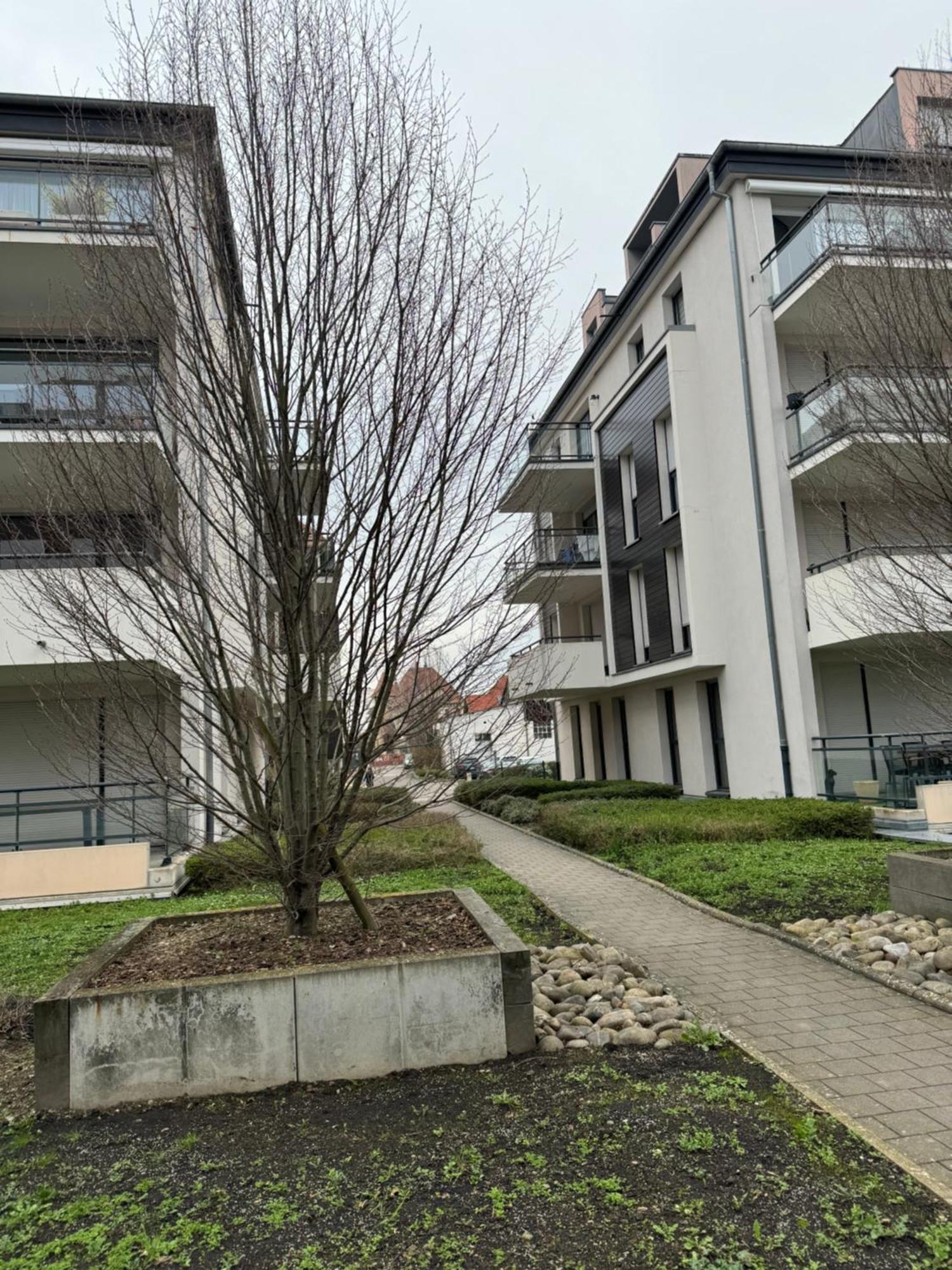 Apartamento Le "Petit Colmarien" A 1Mn Du Centre Exterior foto